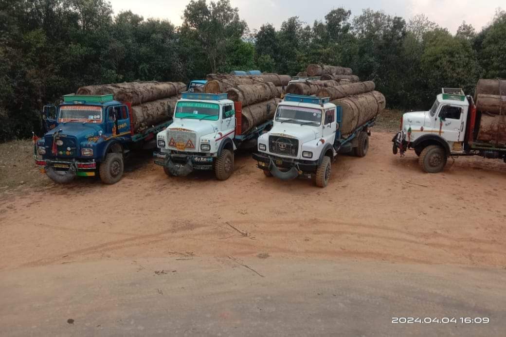haokip_alice's tweet photo. Nongthongbam Dilip Meitei, Brother of Mr. #NBirenSingh, is free to ferry loads of timber from Myanmar even after #AmitShah announcement of scrapping Free Movement Regime (FMR). 
Meanwhile, Mr. #NBirenSingh stated in the assembly that the same is yet to be scrapped. Yes, he wouldn't be ready to scrape FMR in expenses of his brother's illegal business. The nexus between Mr. #NDilip and #VBIG Exposed. 
[Source: @DrLamtinthangHk
FB post]
