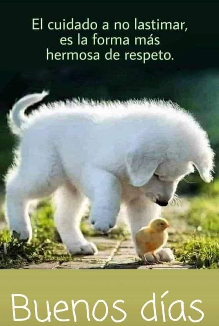 Que paséis un feliz viernes ☕☕😘😘😘🌹