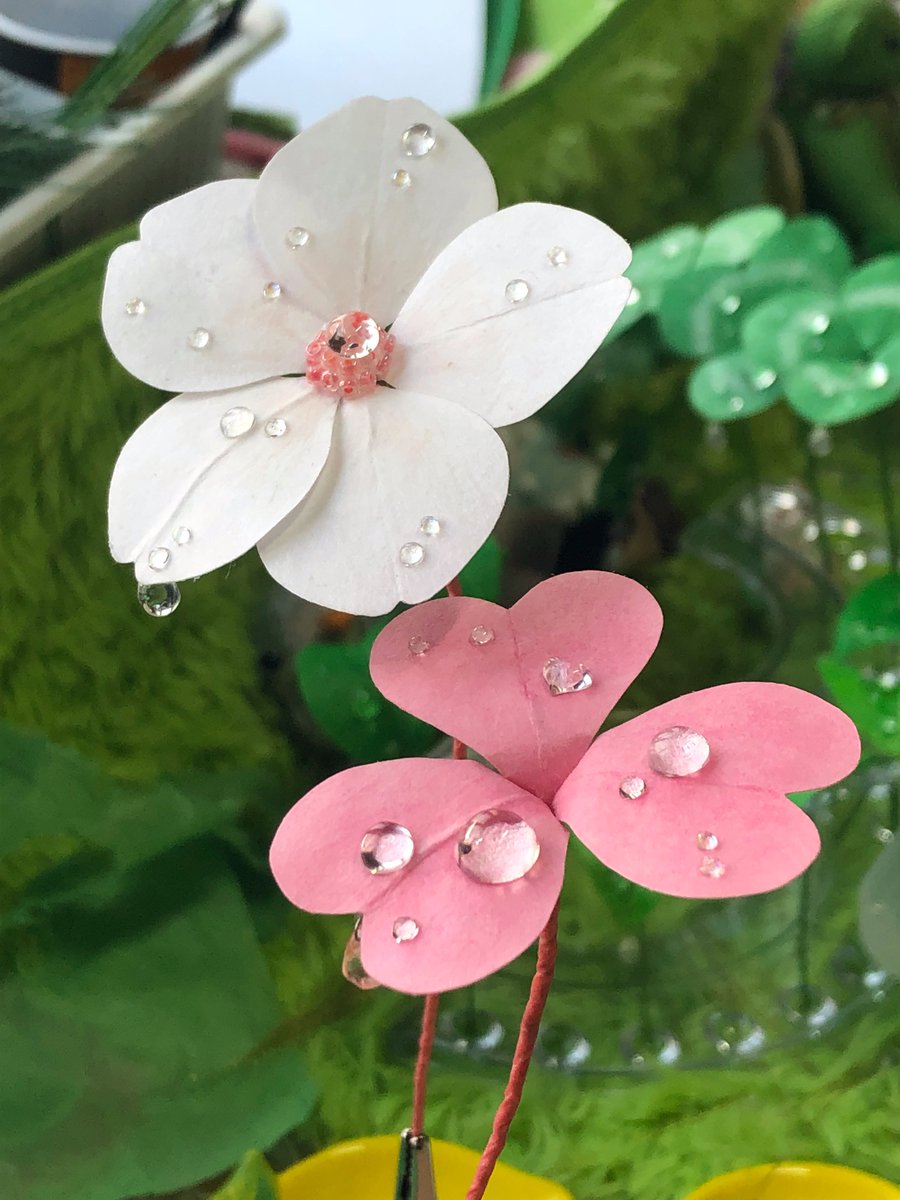🍀식목일 이벤트 2☘️

파릇파릇 생명력이 가득한 봄을 맞아 
두번째 작은 이벤트를 하려해요! 

이 글을 Rt+팔로우 하신 분 중 1분 추첨하여 
봄 한정 꽃잎 우산인 '벚꽃 우산' or '사랑초'를 1개 보내드립니다.

기간: 오늘부터 4월 30일까지
발표: 5월 1일

+팔로어 500명 넘기면 1분 더 추첨.