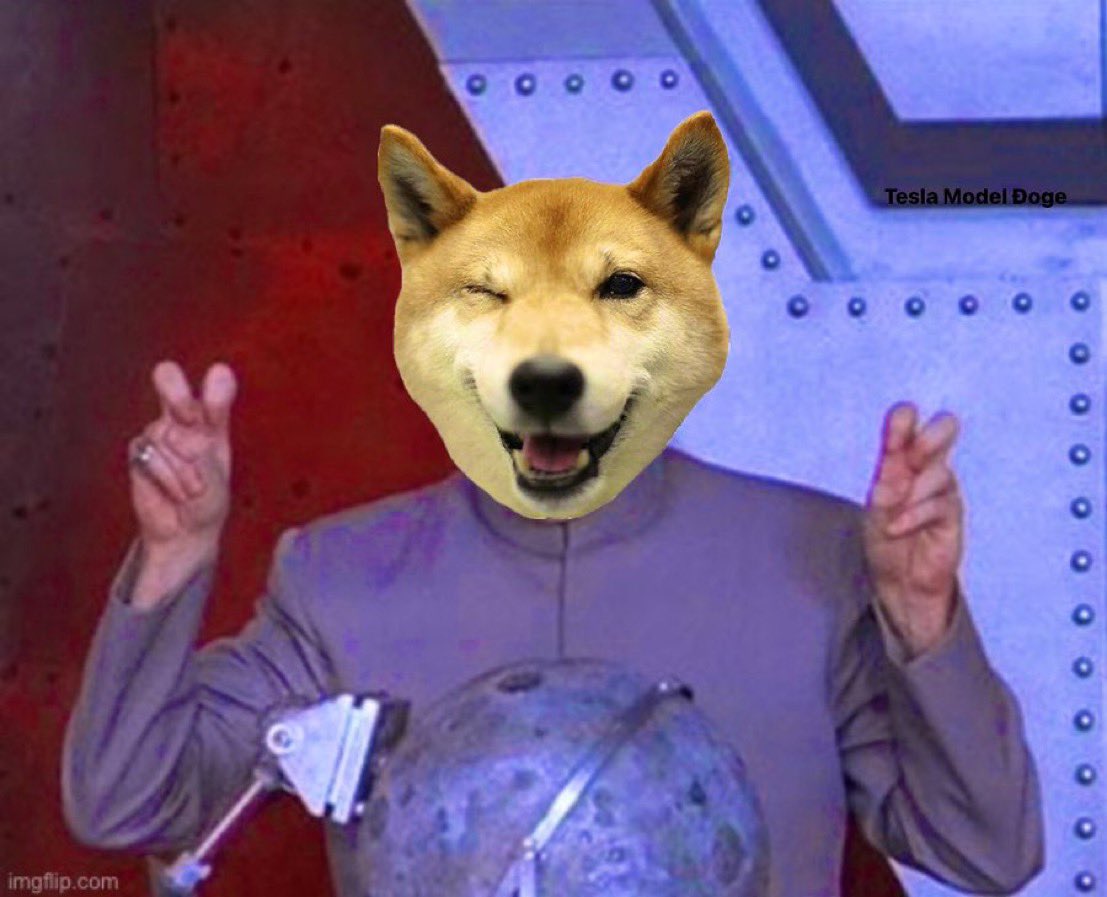 TeslaModelDoge tweet picture