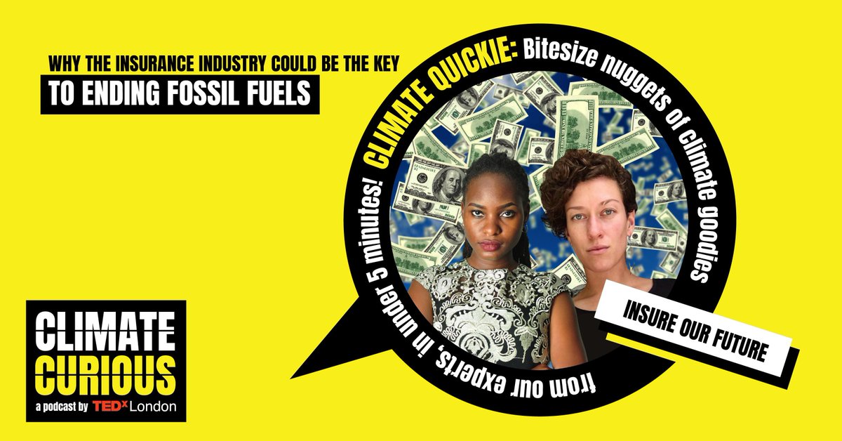 📊 “Insurance can be quite a geeky & niche topic, but it’s such a powerful lever to protect our communities & move us on the energy transition we really need.” Learn 'Why the insurance industry could be the key to ending fossil fuels' with @InsOurFuture: buff.ly/3xkfB75