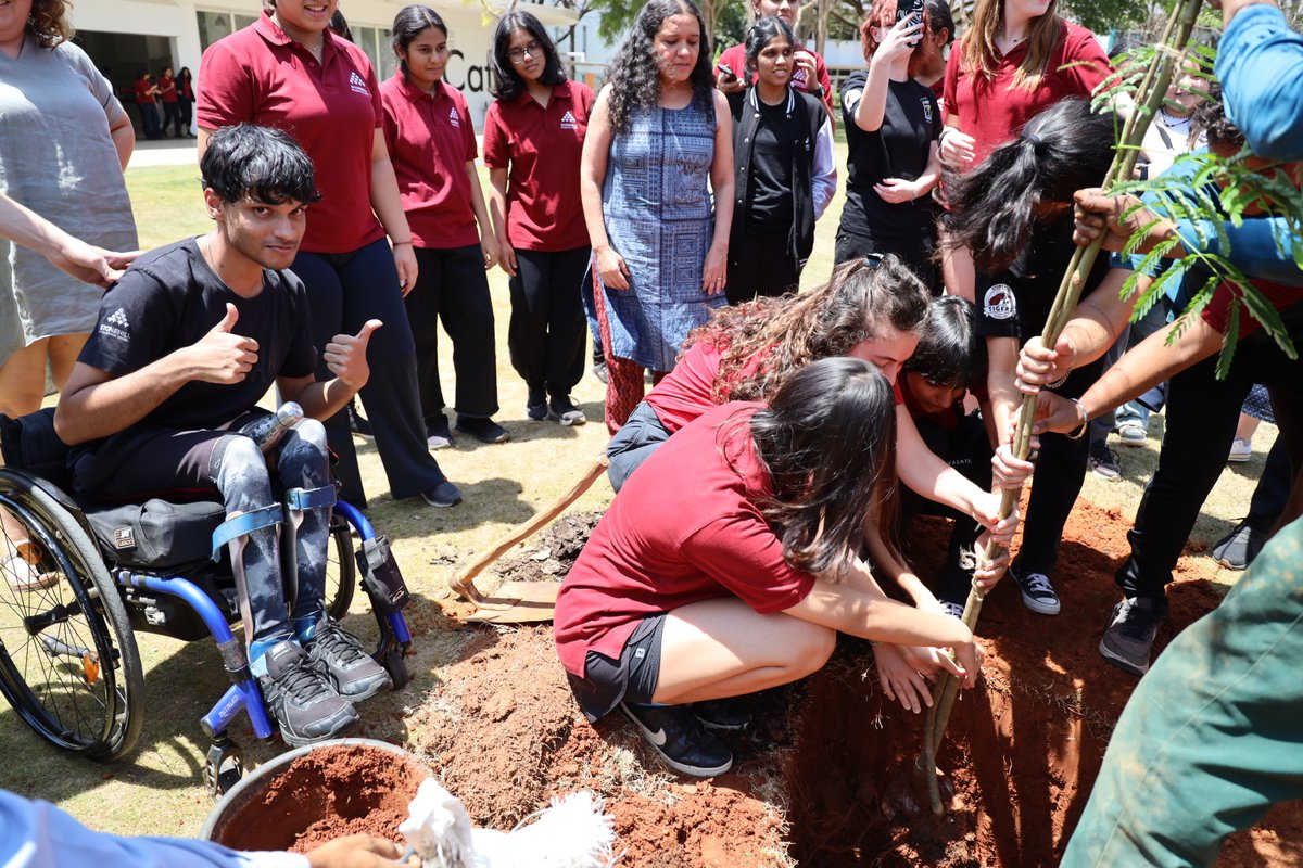 Stonehill IS tweet media