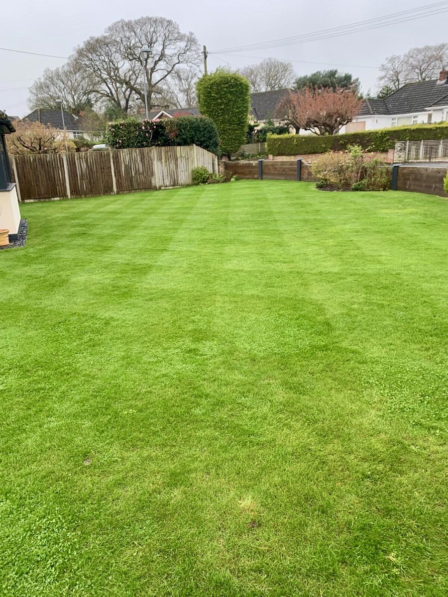 Aeration and Spring treatment complete ✅ Our client's lawn just needs selective herbicide once it stops raining ☔ Then it's all set for the year! ☀️ Looking lovely 🌿👌 

#lawncare #lawncarespecialists #lawncareservice #lawncarebusiness #lawncarechristchurch #christchurch