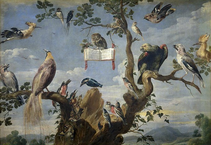 Want to build a good home? Best choose a spot favored by birds and small animals, and place the hearth there - says a Romanian folk belief. 

 #superstition #Im4Ro #birdwatching #BirdLore #Goodluck  

🎨Concert of Birds – Frans Snyders (1601)