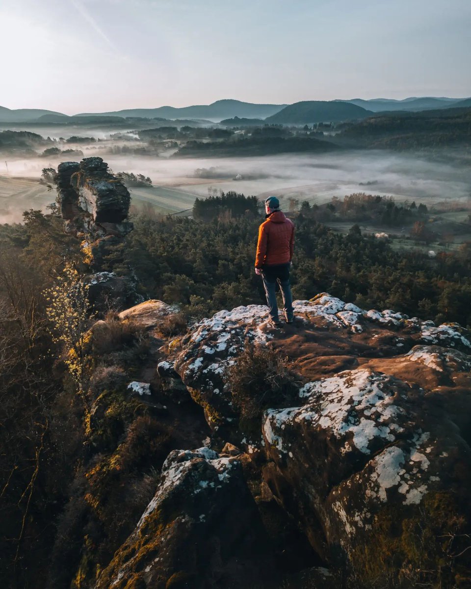WildBounds tweet media