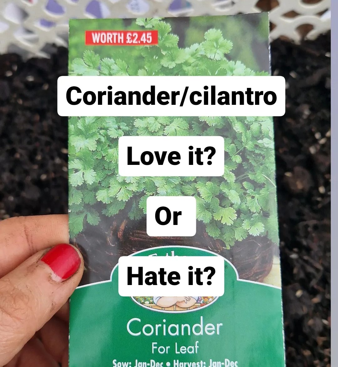 Do you love or hate coriander?🌱 Did you know that for some people, coriander tastes like SOAP? 🧼👅 It's all in the genes! 😱 I never liked it, and it blew my mind when I first found out that it was because of a glitch in my factory settings 😂