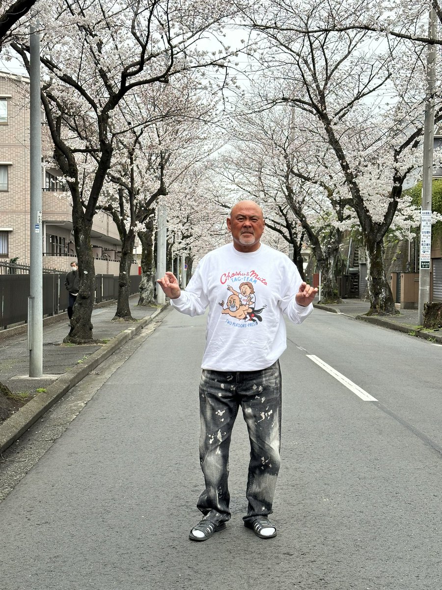 ちょっと天気は悪いけど、毎年恒例の桜並木で一枚。 満開までもうひと咲きかな？