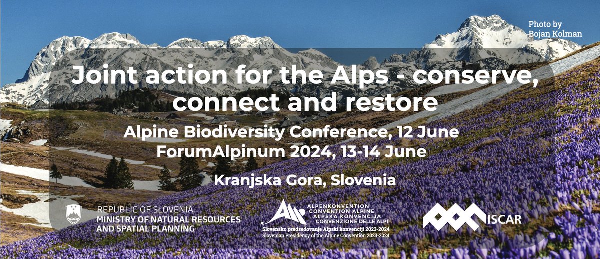 The next #ForumAlpinum will take place in @KranjskaGora from 12 to 14 June 2024 📅 Check out the program and registerer now! #alps #Biodiversity #Geodiversity forumalpinum.org/program/