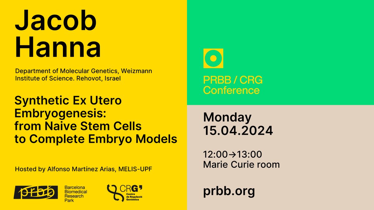 📣 New PRBB-CRG conference 📋 Synthetic Ex Utero Embryogenesis: from Naive Stem Cells to Complete Embryo Models 🗣️ @jacob_hanna - @WeizmannScience 📆 April 15 - ⏰ 12:00 CET hosted by: @AMartinezArias - @UPFbiomed 📍#PRBB Marie Curie room