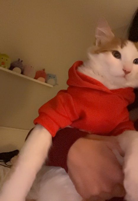 Watch Alya Vural's leaked NSFW photo on TwXstars