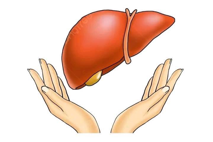 Signs that your liver is full of Toxins,what a healthy liver looks like and Treatment 

A thread 🧵