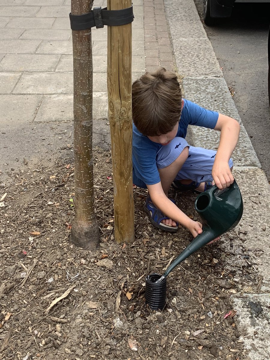 TiCLme's tweet photo. This year could you give just #onetree π³ a little bit more #TLC ?
Join our #communitree
https://t.co/fMxpZUSswv https://t.co/cUfCqGMxZ5