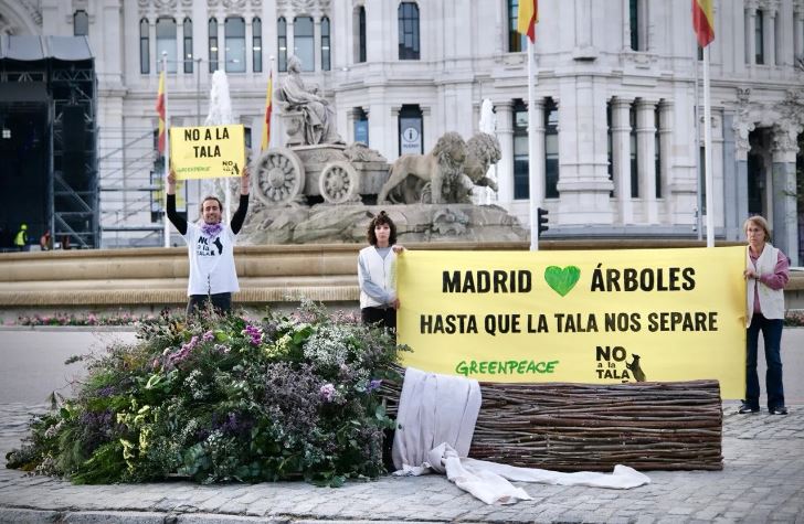 💐Mañana se casa <a href="/AlmeidaPP_/">José Luis Martínez-Almeida</a> y, aunque hubiera preferido de regalo una motosierra, ha recibido un enorme ramo hecho con los árboles cuya destrucción ha permitido y era evitable. "Hasta que la tala nos separe". 

#NoAlaTala #MetroSíPeroNoAsí #Madrid #boda

es.greenpeace.org/es/noticias/ac…