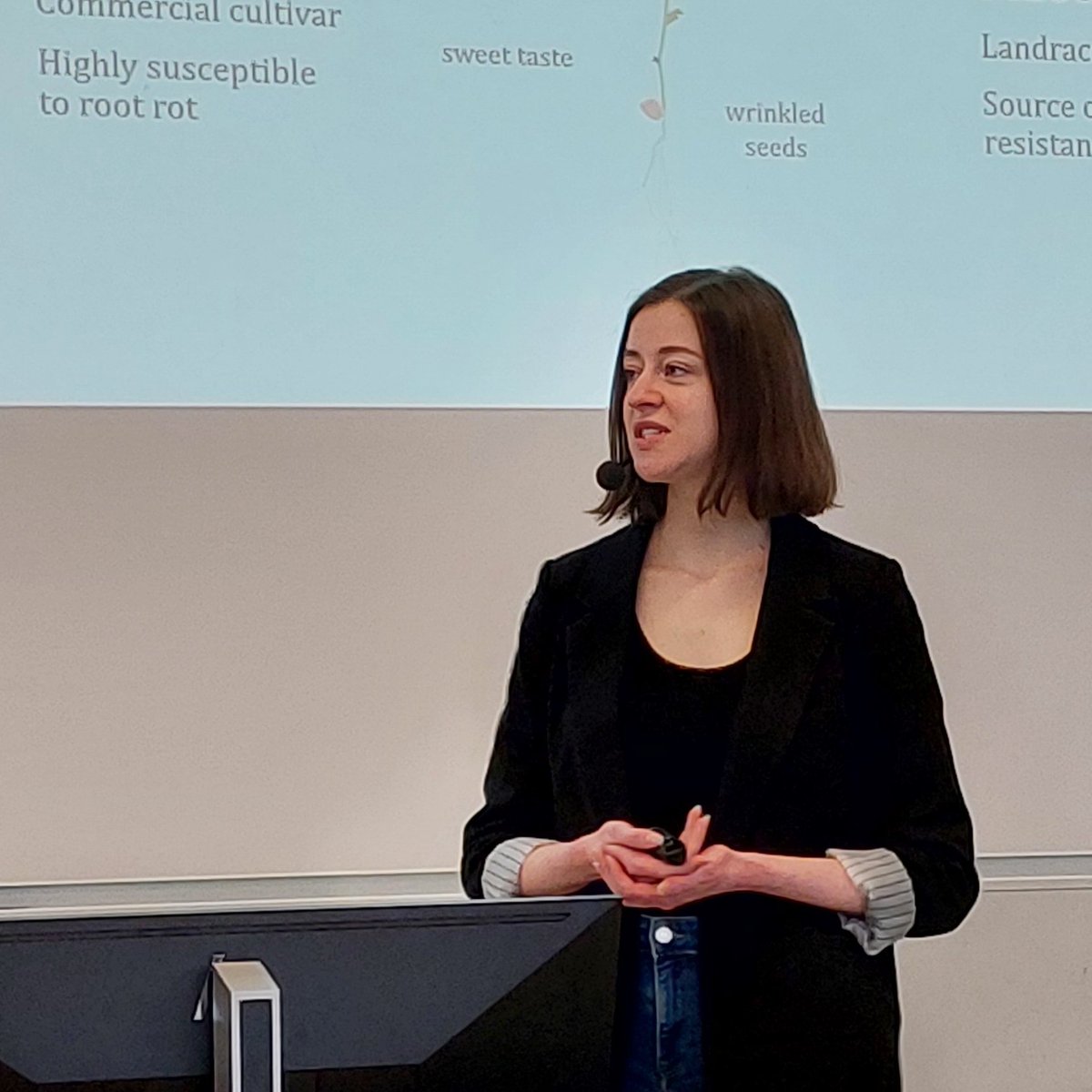 Carol Kälin defends her thesis 'Aphanomyces root rot in pea : genomic insights into pathogen diversity and disease resistance'! Read it here: publications.slu.se/?file=publ/sho…