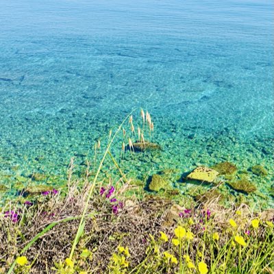 ChantzTC's tweet image. #NewProfilePic