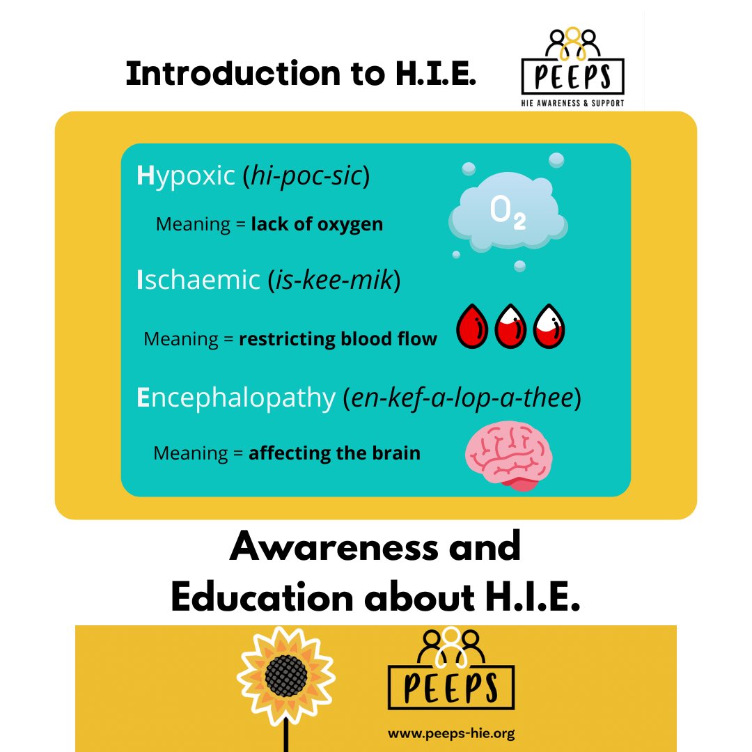 Sarah Land tweet media
