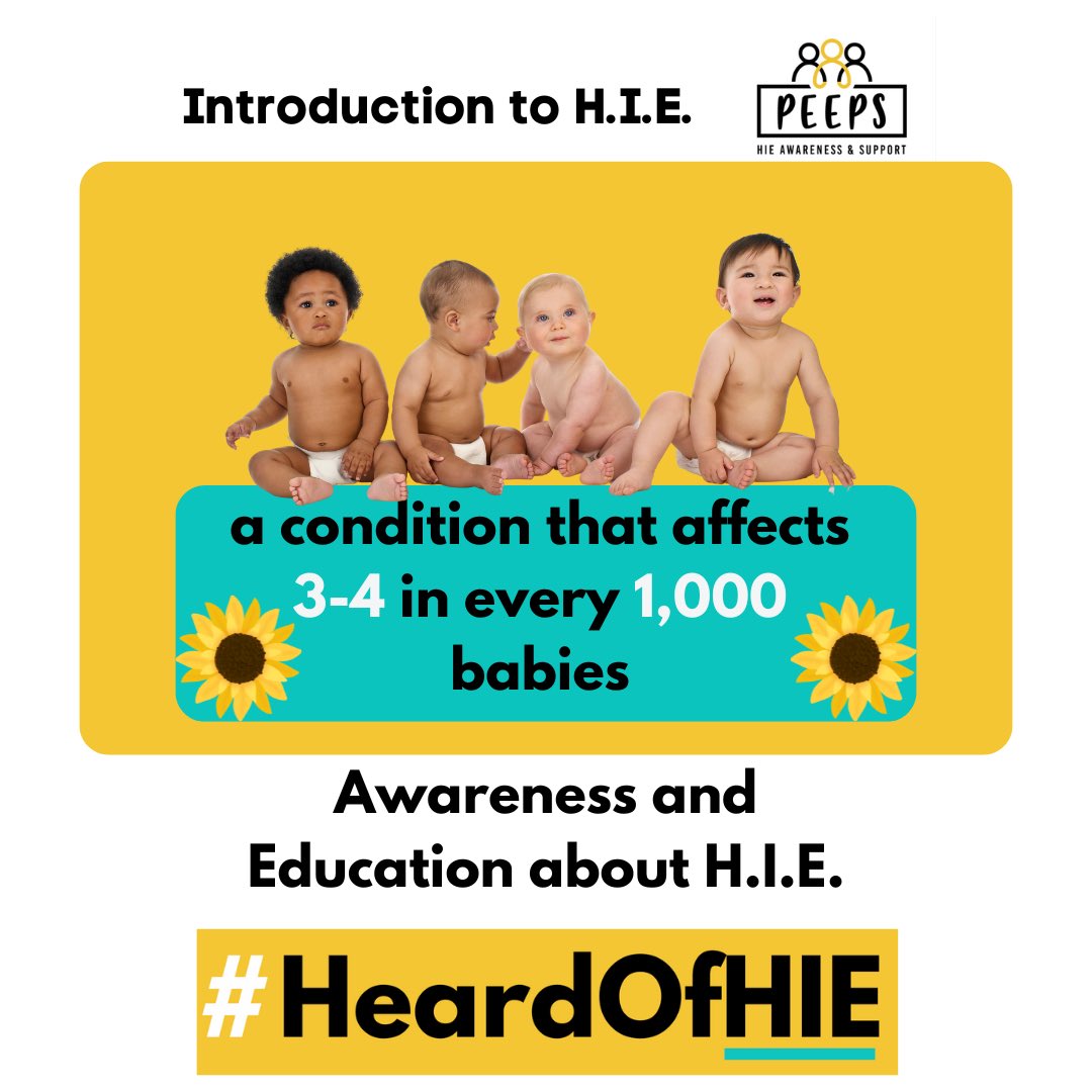 Sarah Land tweet media