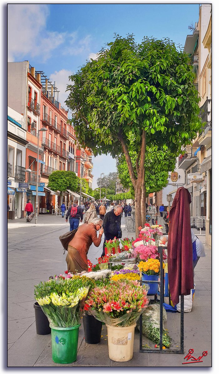 Puesto de flores en la calle San Jacinto. #FelizFinde #Sevilla #Triana #Macarena #Andalucíahoy #Andalucía