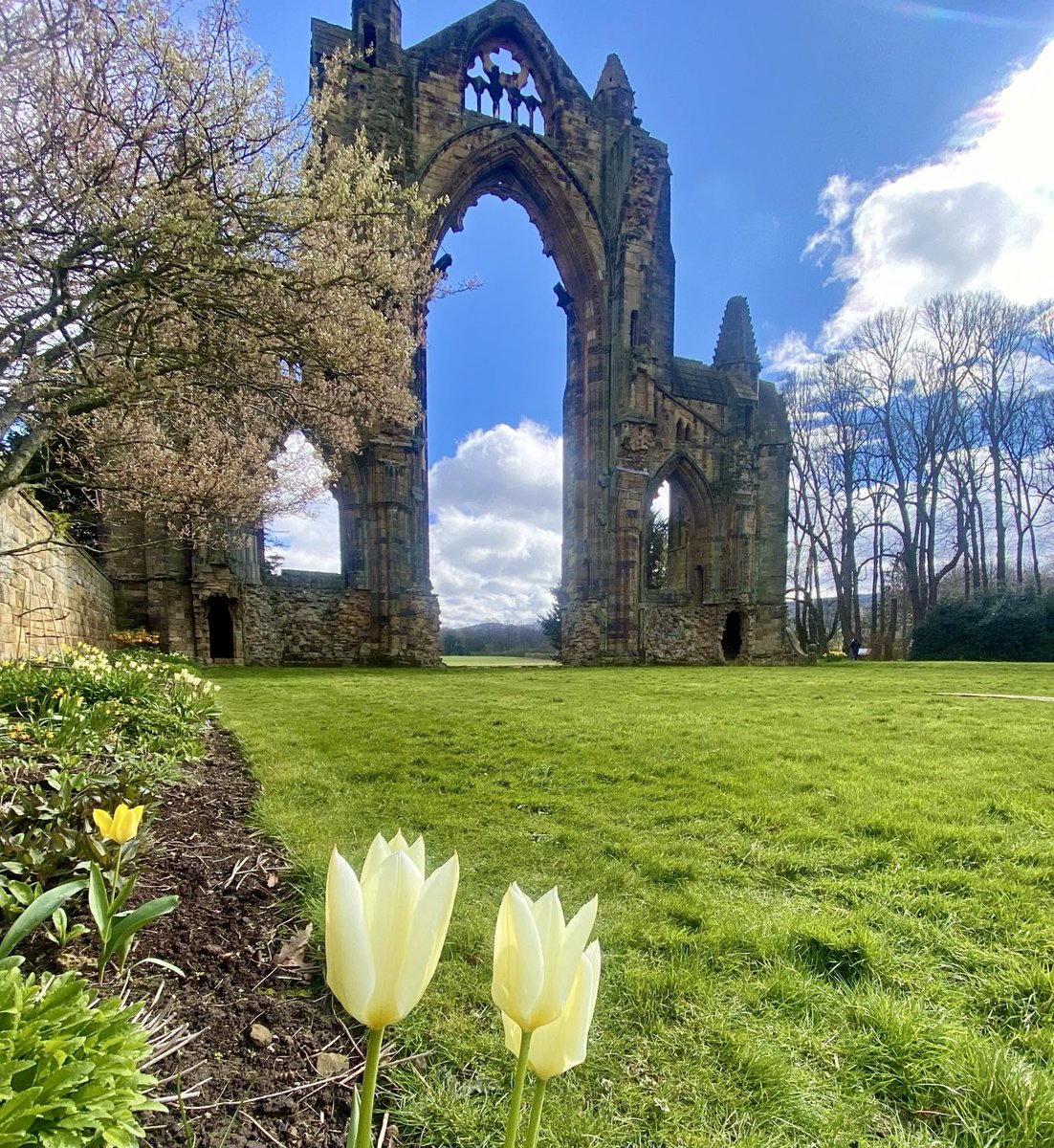 Weighing you a fabulous Friday from Guisborough Priory, North Yorkshire 😊