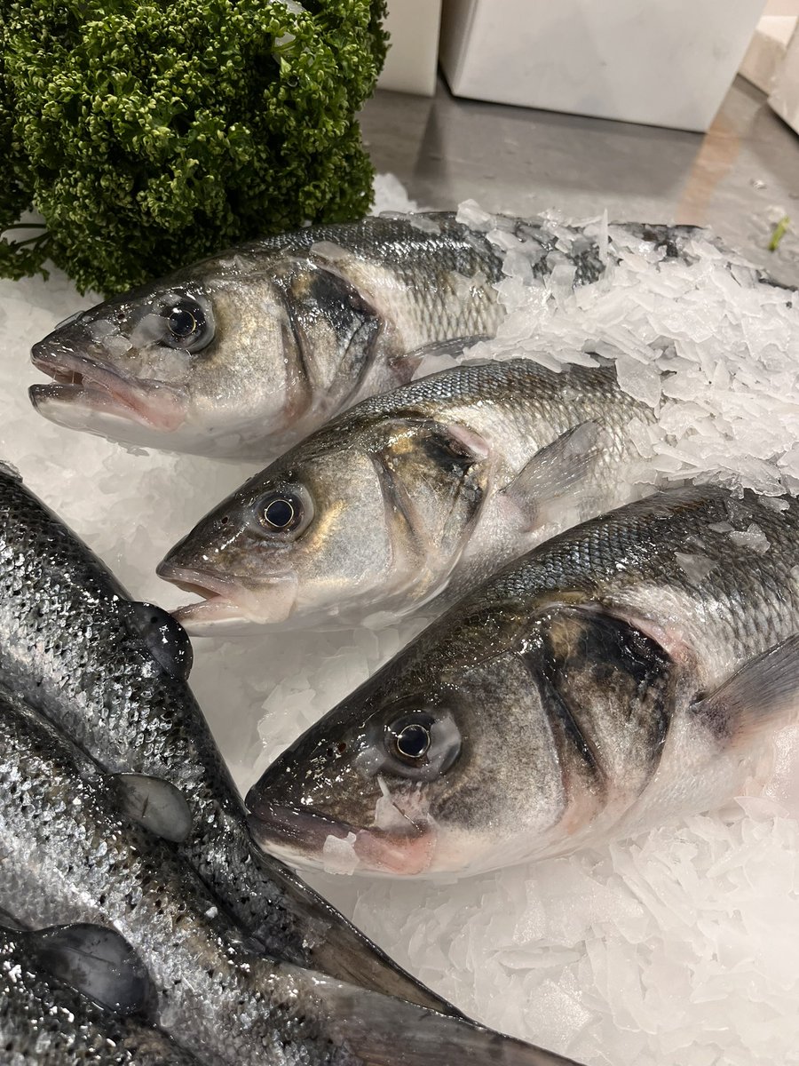 MayersFishmongers tweet media