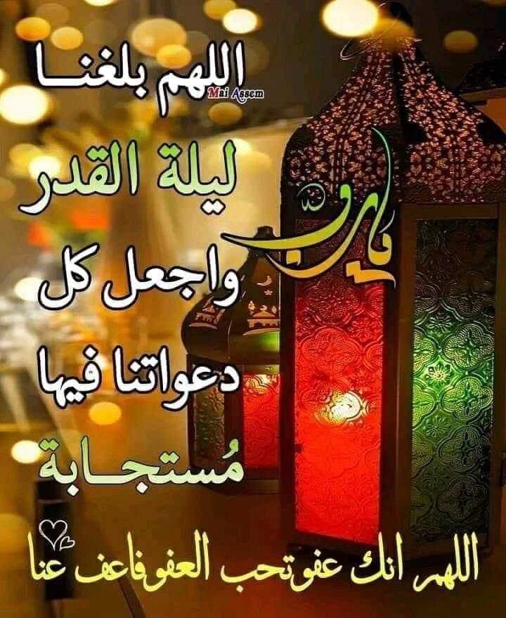 غريب غريب (@elsayed78129817) on Twitter photo 