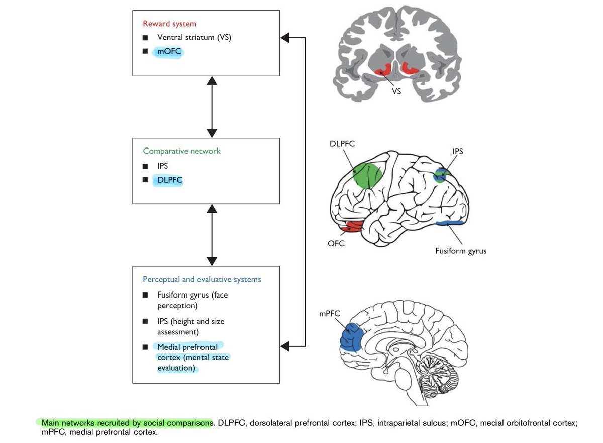 PatheNeuro's tweet image. วินาทีที่เราตัดสินคนอื่น 
มันก็คือวินาทีที่เราตัดริบบิ้นเปิดงาน 
นิทรรศการแสดงความคิดและตัวตนของเรา

…. 

วันก่อนได้อ่านงานวิจัยว่าด้วยเรื่องกลไกการเปรียบเทียบของสมอง 

ทีมที่วิจัยตั้งคำถามว่า ทำไมมนุษย์ถึงชอบเปรียบเทียบ