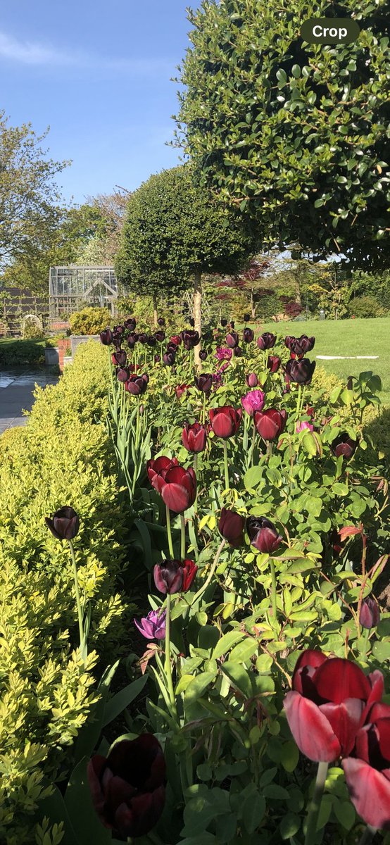 Hello Sunshine ! Please can you stay for a while…. @bbcmtd @bbcweather