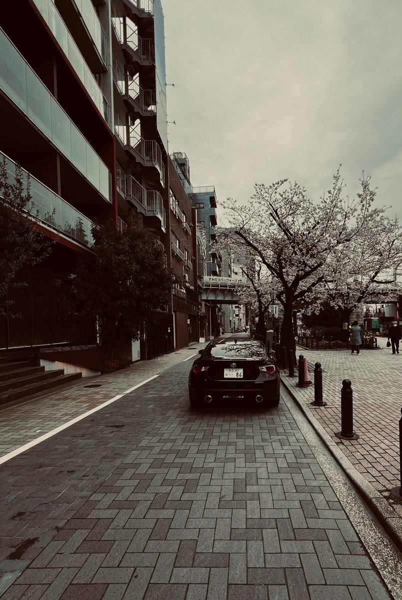 86とお花見

#トヨタ
#toyota
#トヨタ86
#toyota86
#スポーツカー
#お花見
#zn6