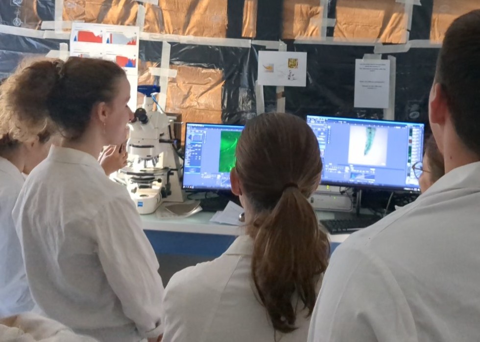 LZurletto's tweet image. TP de biotechnologies végétales 2024 #Polytech Sophia : observation des résultats sur le plateau de microscopie @SAgrobiotech @INRAE_PACA 🔬 Merci pour l&apos;accueil et l&apos;expertise !
Les étudiant.e.s ont en pris plein la vue 🤩