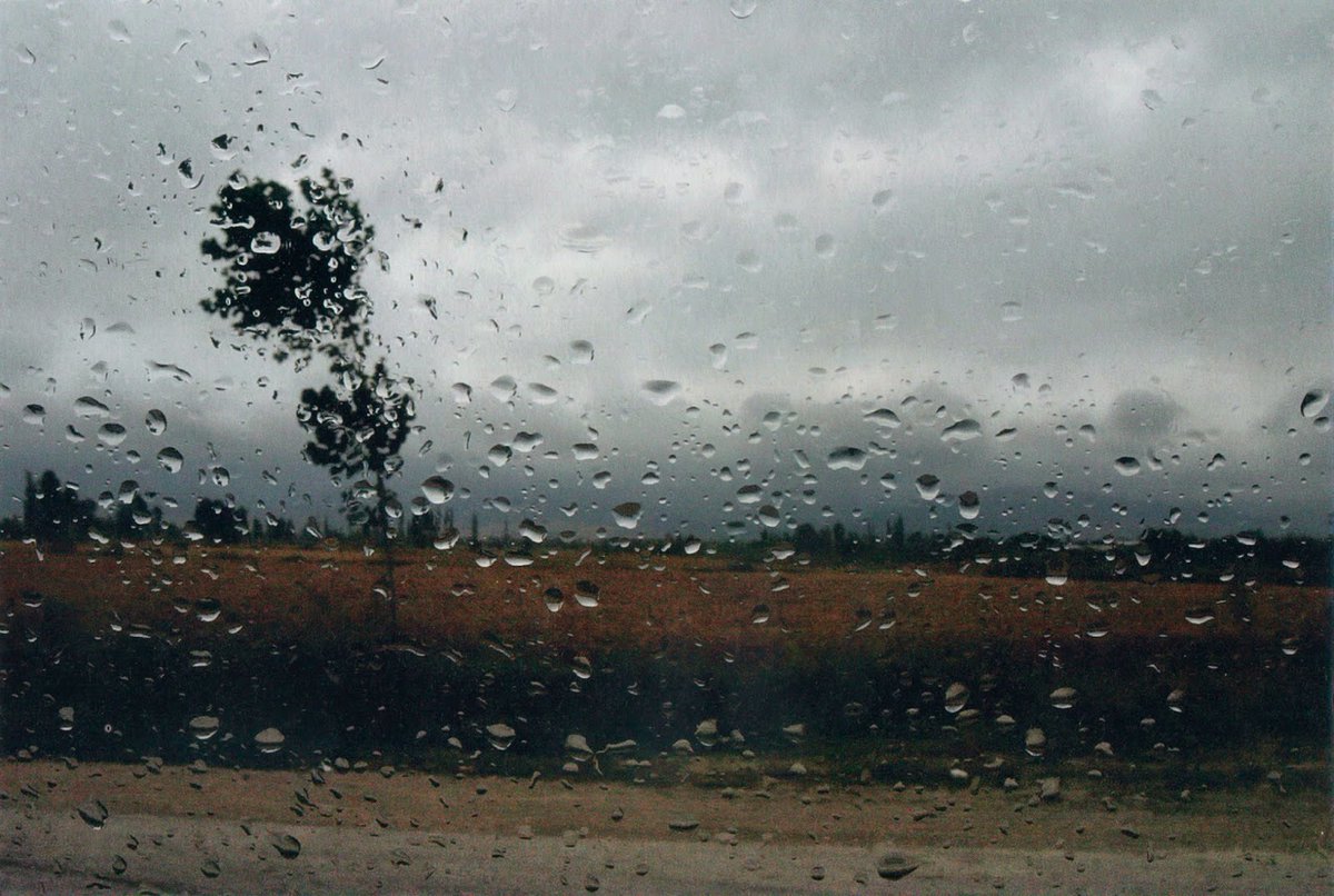 [Kiarostami's Rain series, 2007—2008] 'I've often noticed that we are not able to look at what we have in front of us, unless it's inside a frame. So I took my car windscreen as a frame... Everything we can see in the photographs we owe to the light.' — Abbas Kiarostami