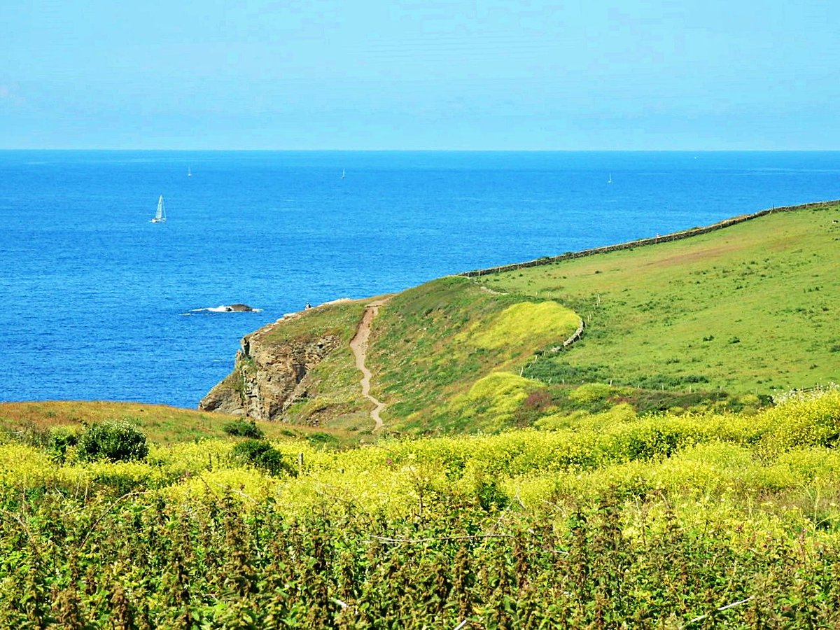 The coastal path on the Lizard, Cornwall. Have a good day wherever you are.