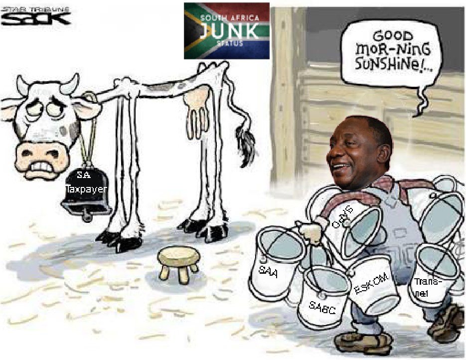 Koos de la Rey tweet media