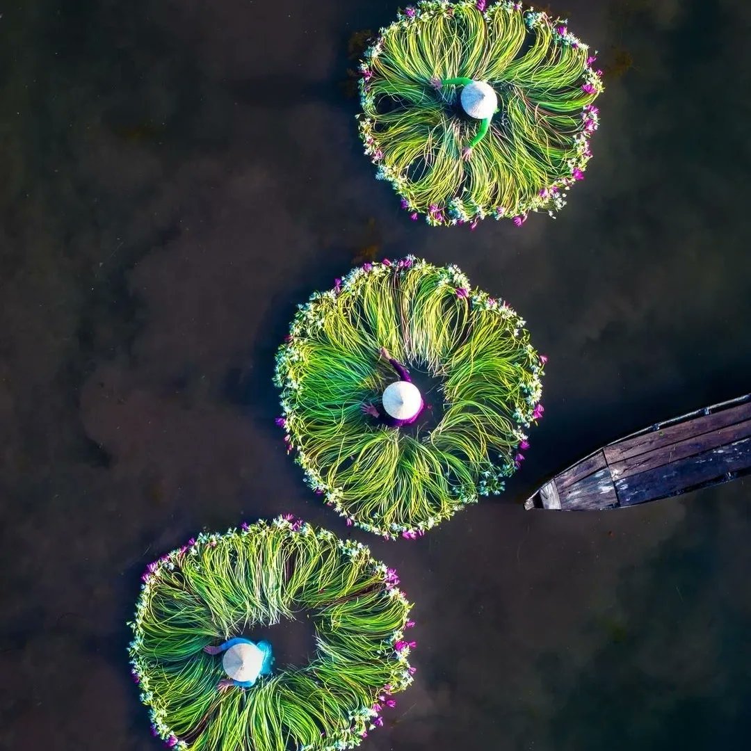 The Blueberry Trails tweet media