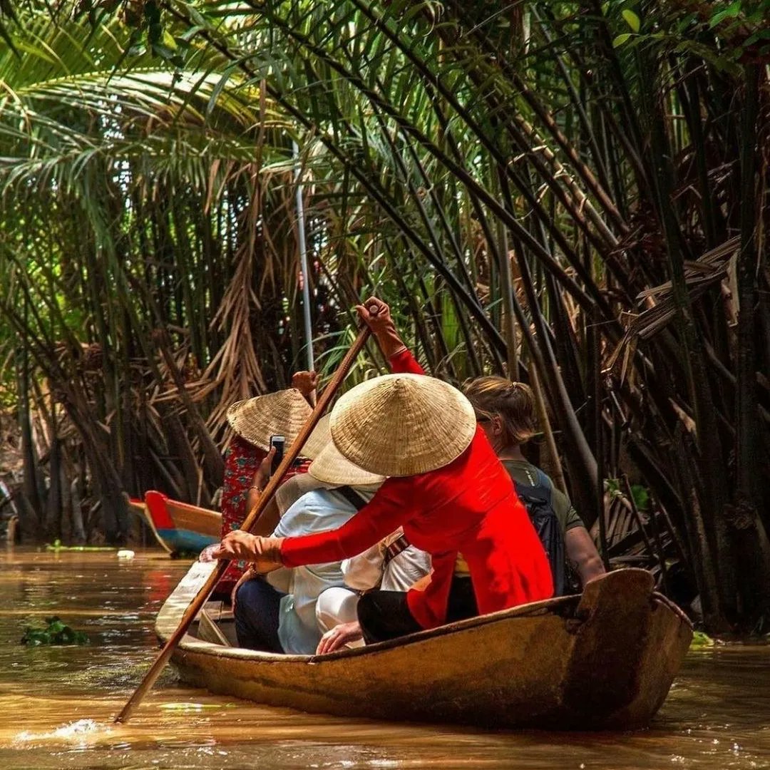 The Blueberry Trails tweet media