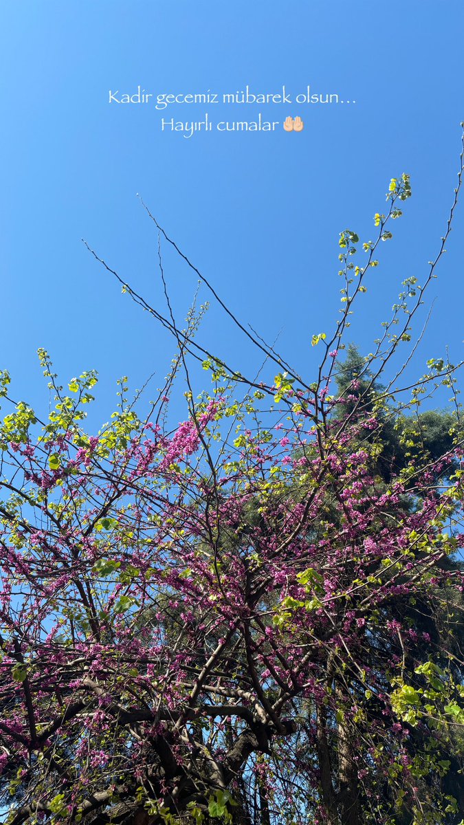 #KadirGecemiz 
Dualarımızın kabul olduğu bir gün olsun🌸