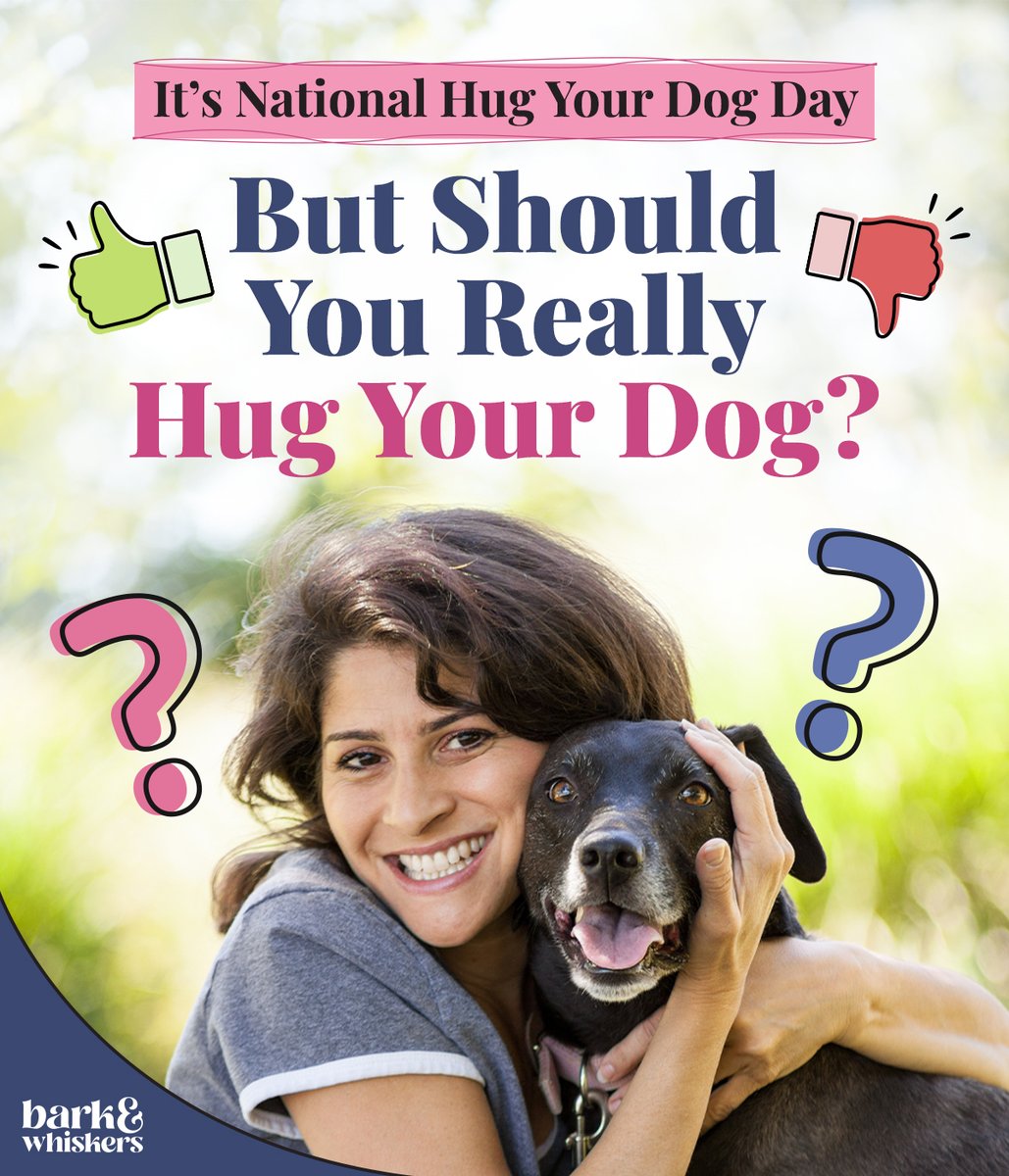 🤗🐶 Many dogs tolerate hugs but don't always enjoy them, as it restricts their limbs and can trigger stress. 🐕👎 Discover alternative ways to show your love for your dog while respecting their boundaries: bit.ly/43OUrd6 #NationalHugYourDogDay #Dog #DogsOfTwitter