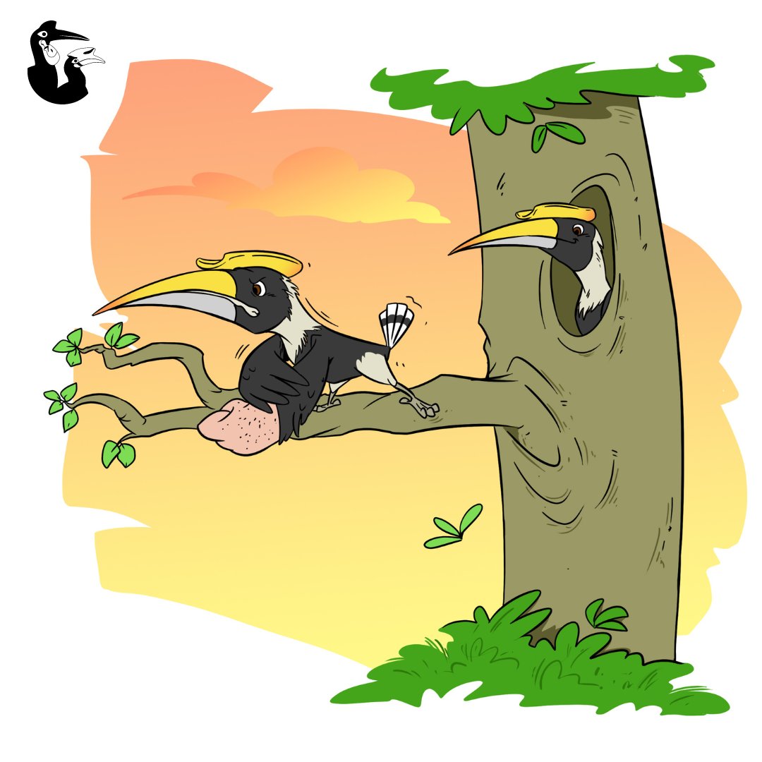 During breeding season, the Great Hornbill invest all their energy in creating a safe and happy home for their little one. With a heart full of love, they guard a 100 m area around their nest, ensuring that their family is always protected. 🐥 #IUCNHornbill