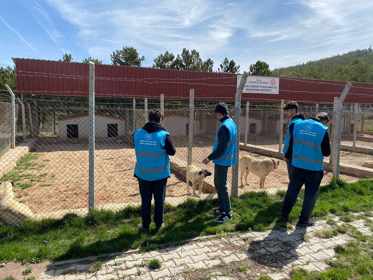 Kadı Burhaneddin Yurdu öğrencilerimiz 4 Nisan Sokak Hayvanları günü kapsamında sokak hayvanlarını besleyerek Kangal Çiftliği Araştırma ve Uygulama Merkezini ziyaret edip Prof.Dr. Nazlı Ercan'dan kangal köpeğinin özellikleri hakkında bilgi aldılar 👏