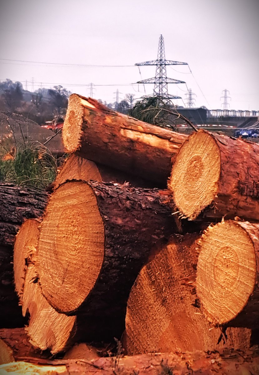 Balblair substation 04/04/24 Progress?? making more space for further industrialisation. Greed not need. NO to pylons, battery storage, turbines. NO to turning Scotland into an industrial wasteland. Highland Clearances 2.0. Protect the voice of the custodians. Public Enquiries.