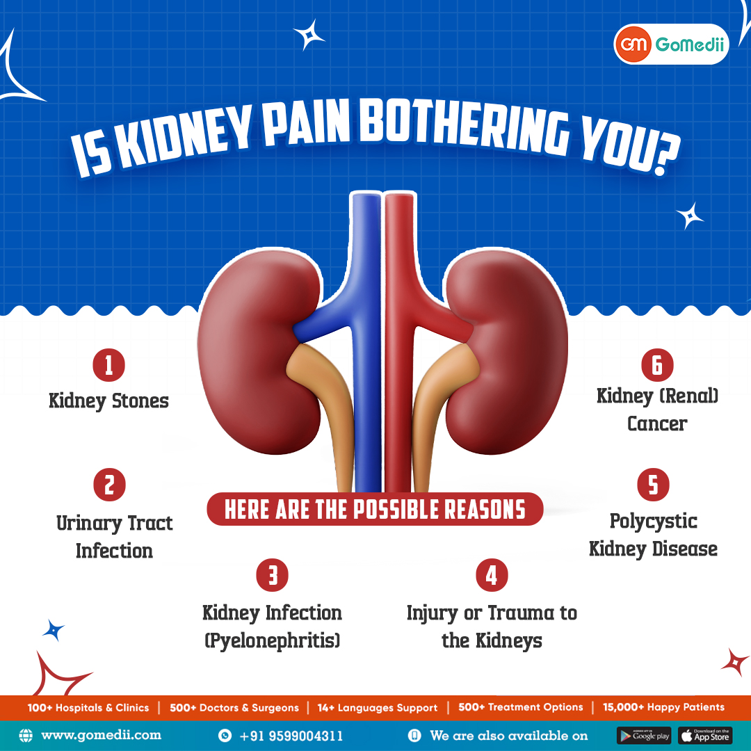 Kidney Pain Troubling You? 🤔 What Could Be Causing It?
From kidney stones to infections,  learn about the possible causes and prioritize your kidney health! 🤕💧
#KidneyHealth #PainAwareness #StayInformed #HealthAwareness #KnowYourBody #KidneyPain #GoMedii
