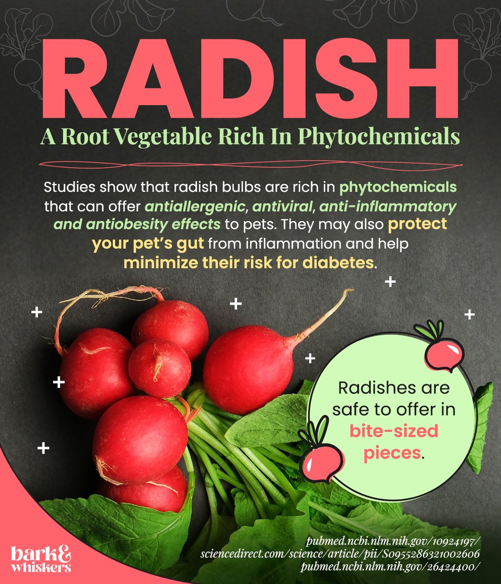 Aside from its abundant nutrients, radishes may also help support oral health! 🦷 Chewing on crunchy radishes can help clean your pet’s teeth, as they can remove plaque and help freshen their breath. 🐶🐱 Learn more: bit.ly/3TLWoCD