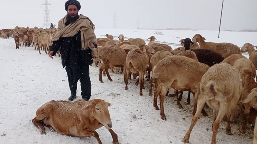 #Afghanistan was hit by extreme temperatures in early March. The European Union contributed €150,000 via @IFRC_DREF to deliver vital assistance to 11,200 people: ☑️warm clothes & shoes ☑️cash assistance ☑️essential hygiene items 📰Full statement: europa.eu/!HN8cMG