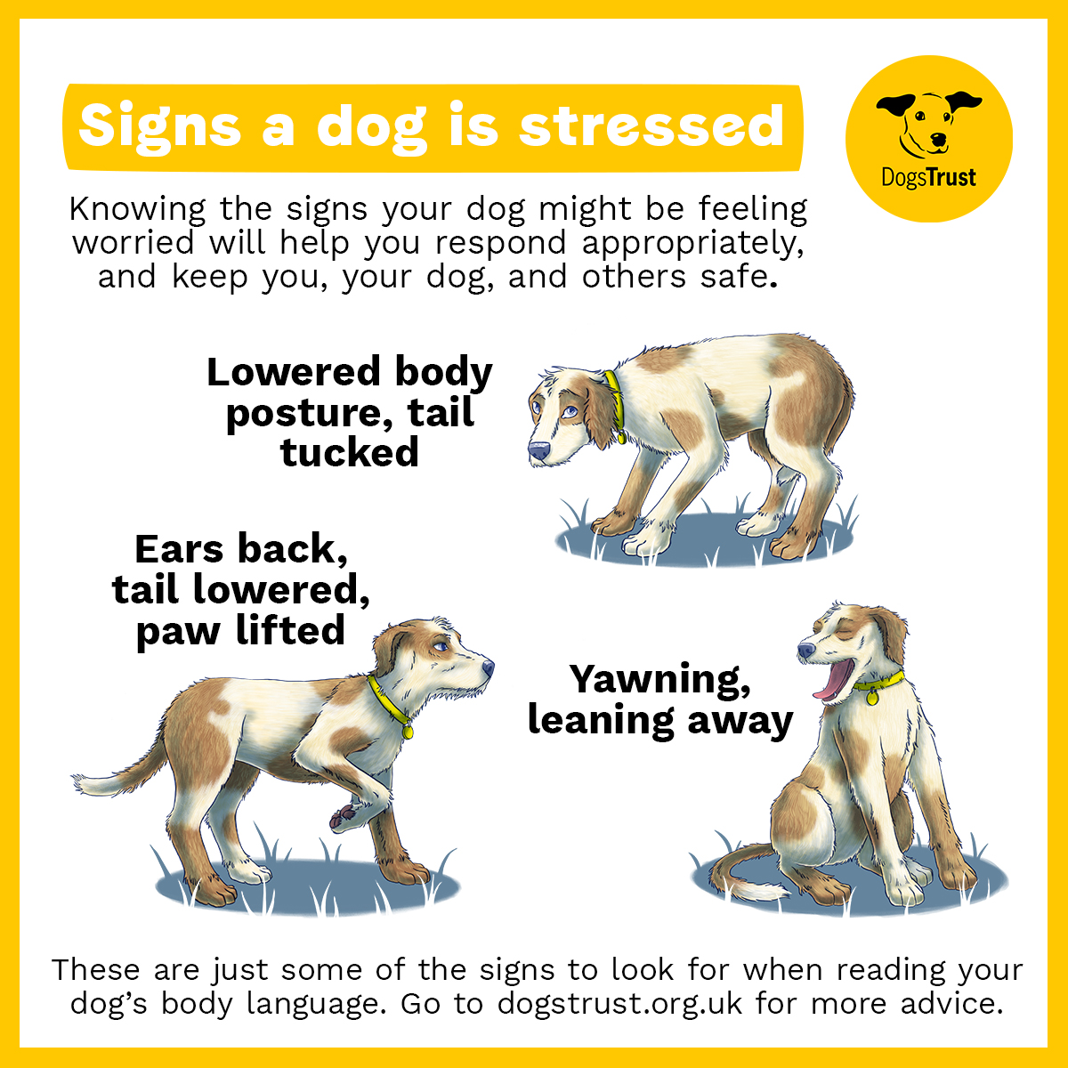 Its #StressAwarenessMonth, and while we might be able to recognise the signs of stress in ourselves, it can be harder to spot in our dogs. To understand when your dog may be feeling worried take a look at this infographic or go to our website for more advice. 🐶💕 #DogBehaviour