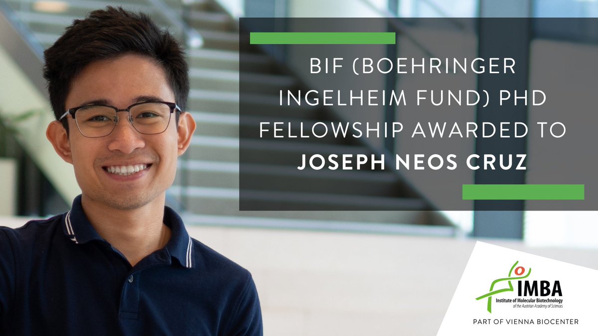 Joseph Neos Cruz (@neos_cruz), PhD student in the lab of Daniel Gerlich (@gerlich_daniel) was awarded a Boehringer Ingelheim Fond (BIF) fellowship for his project on how transcription reshapes genome organization. Congratulations! Find out more here: