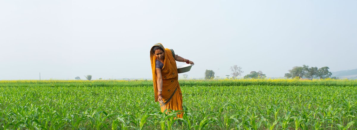 #DYK out of 15 ACZs in India, #MP has 11? For a state so diverse, in collab. with the govt, @WRIIndia & @FOLUIndia conducted a 3-day learning & planning workshop to identify best practices for adoption of #sustainable & #regenerative agriculture. More👉bit.ly/FOLUIndia_MPSAP