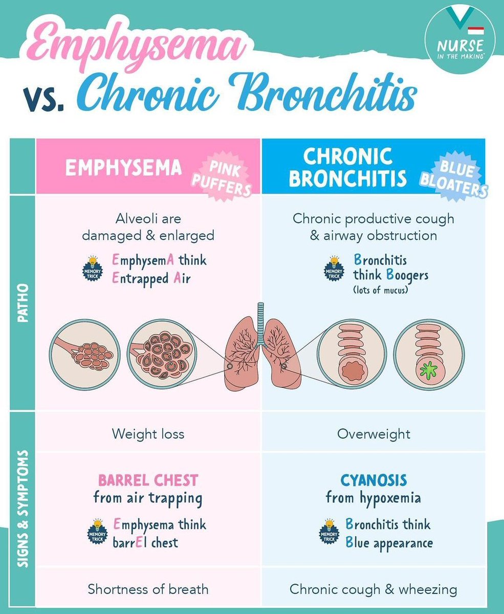 EMPHYSEMA VS CHRONIC BRONCHITIS #nursing #nursingnotes