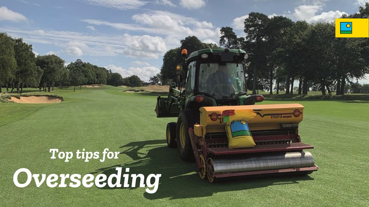 Considering overseeding your fairways or renovating your outfields? Find out our top 5⃣ tips for overseeding! barenbrug.co.uk/news/fairway-o… #overseeding #golf #fariways #outfields #toptips #golfcoursemaintenance
