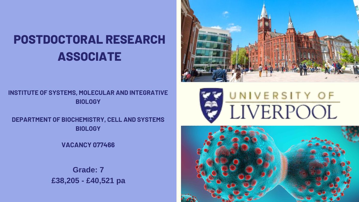 📢We're seeking a #PDRA with practical experience in #biochemical and #biophysical methods of #protein interaction analysis Informal enquiries to Professor Ben Goult b.t.goult@liverpool.ac.uk Apply🔬 tinyurl.com/33m7599d @LivUniISMIB @LivUniHLS @LivUniResearch @livunijobs