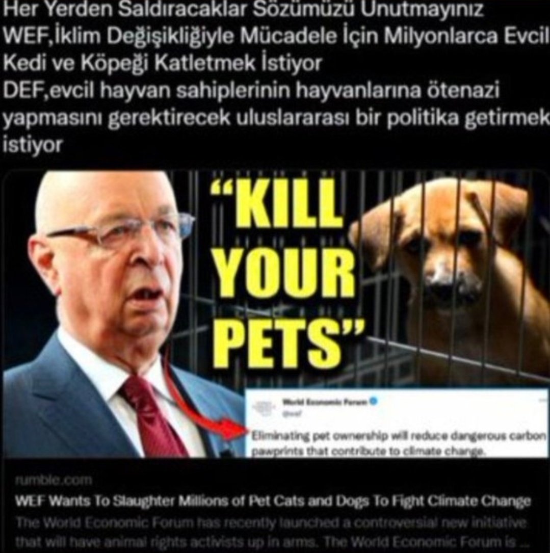 @ProfFatihACanli Sus ve utan! Sıra köpeklere gelince küreselci mi oldun? Binlerce yıldır birlikte yaşadığımız hayvanlar 2 yıldır canavar oldu. Tüm medya, yalan algı ve siyasilerin desteği ile! Aklı, vicdanı olan anlar. Gerisi çöp! Çöpler de küreselciler için kullanışlı aparat.