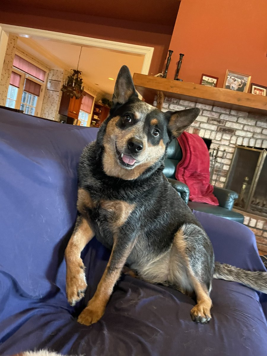 Michelle Bezanson tweet media